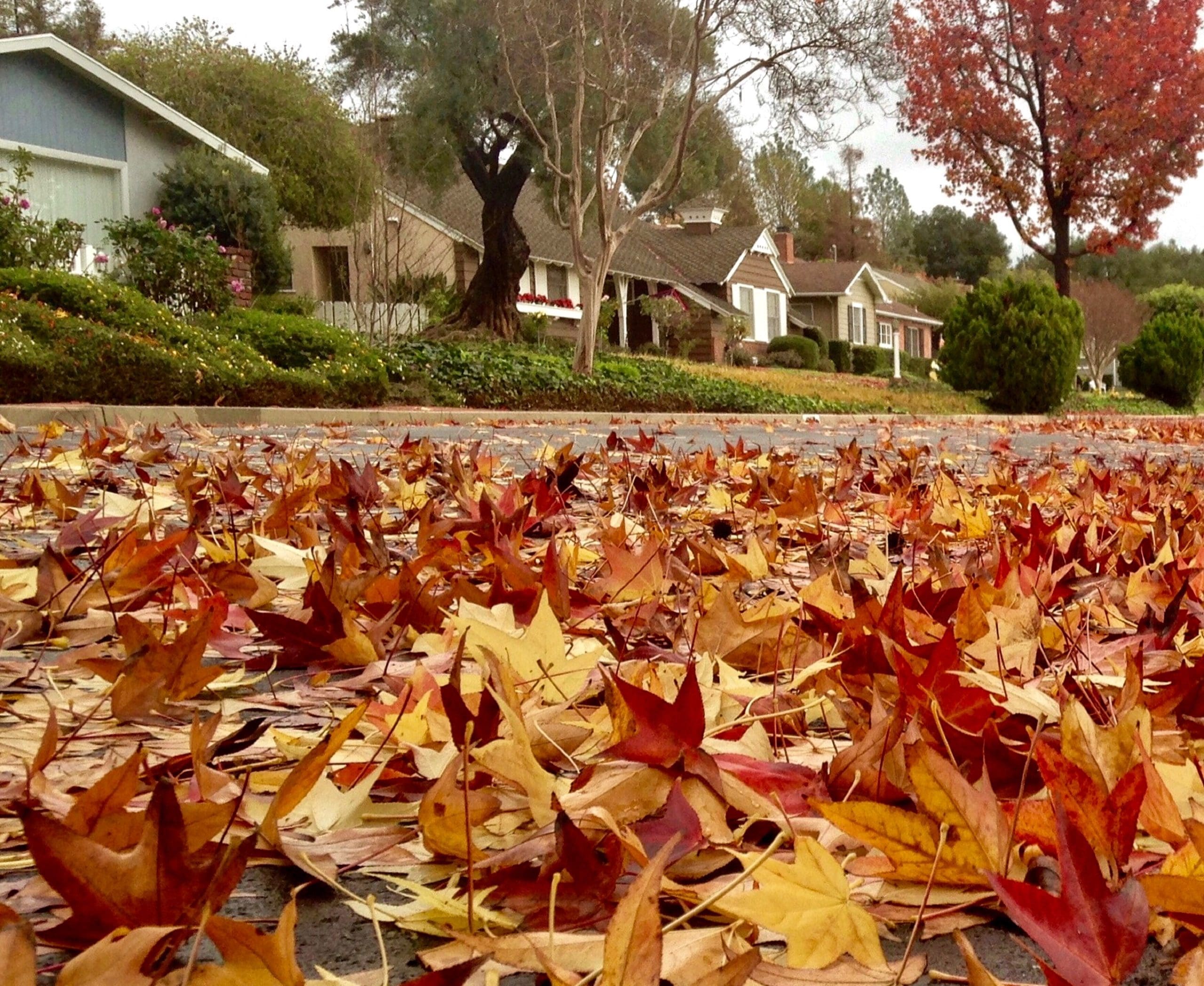 Transitioning Your Home for Fall