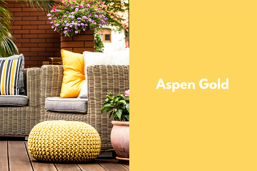 Pantone Aspen Gold