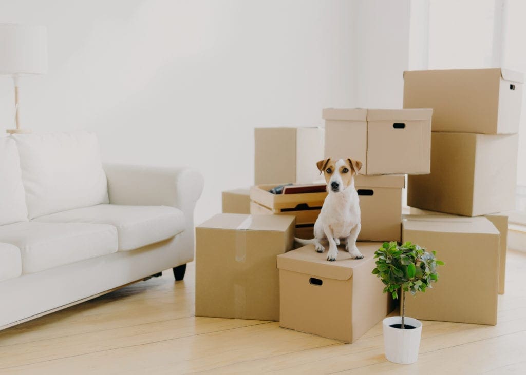 The secret to easy home moving? Start with the right moving boxes.