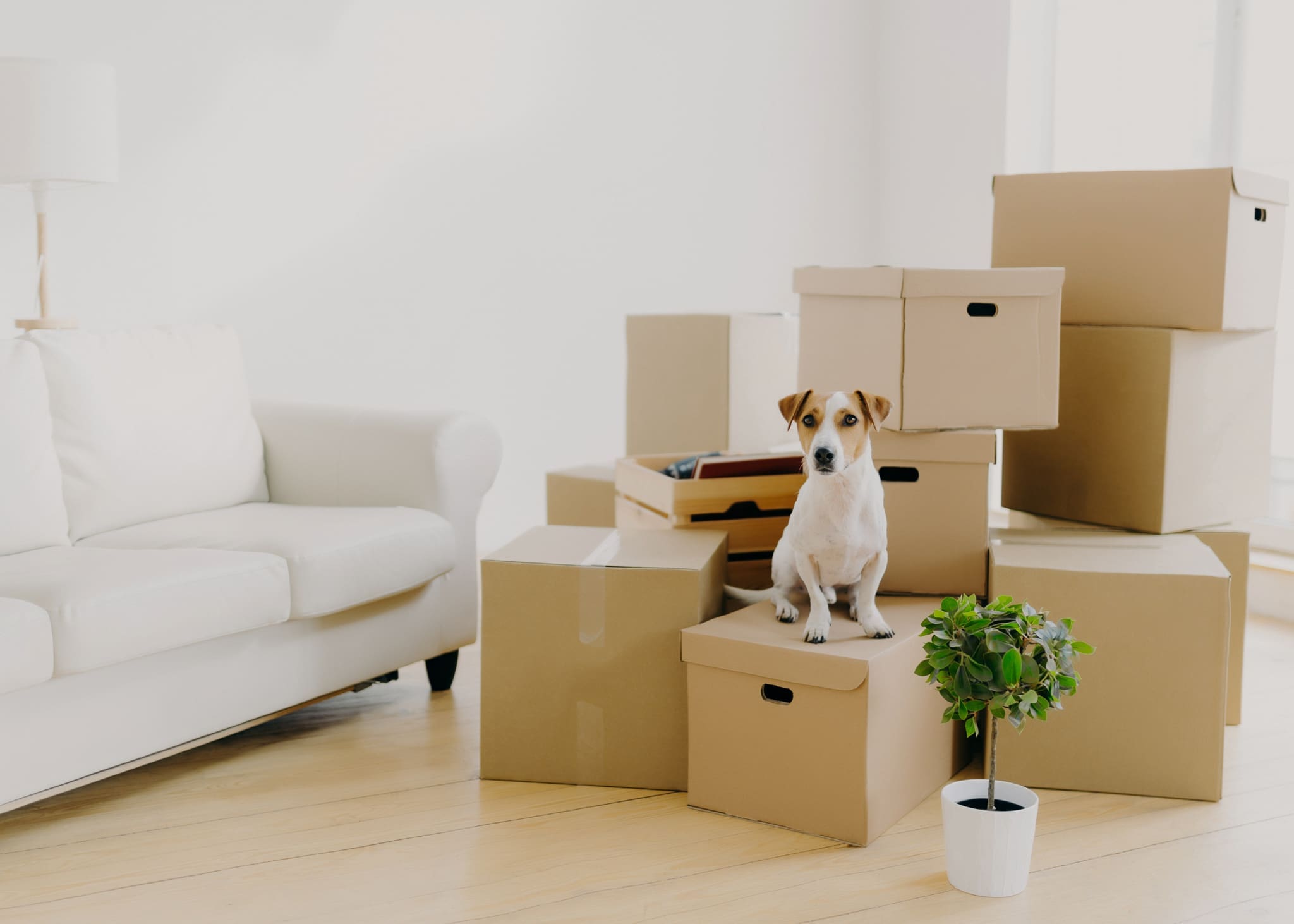 Le secret d’un déménagement facile? Avoir les bonnes boîtes, c’est la base.
