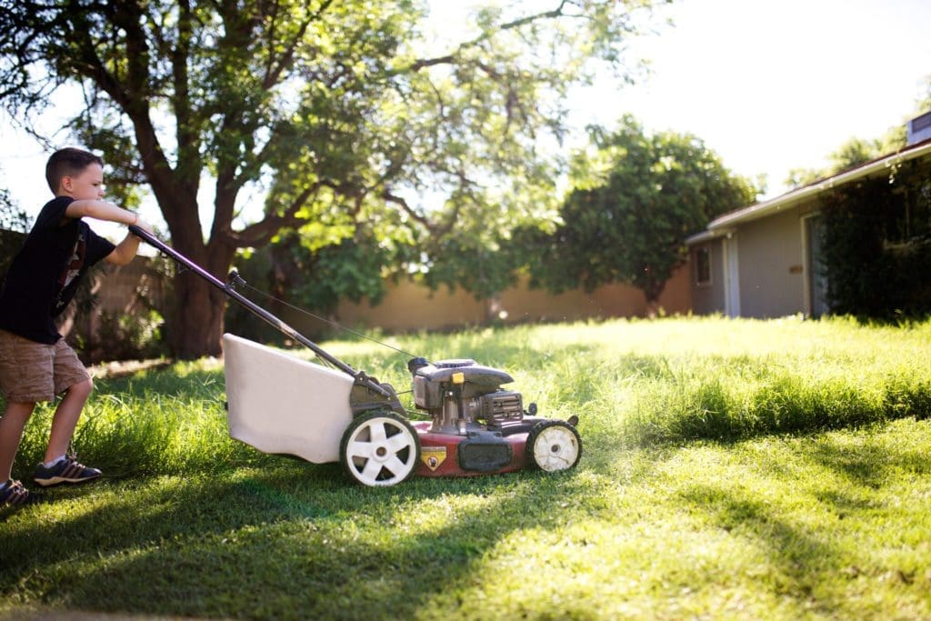 Eco-friendly ways to dispose of yard waste.