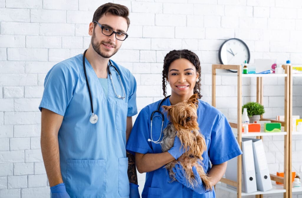 Veterinarians holding a small dog